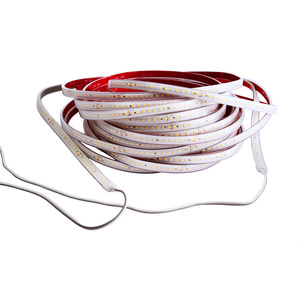 LED Stripes ab IP44 bei Robin Hartmann Elektrotechnik GmbH in Usingen